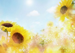 工場見学会開催のご案内