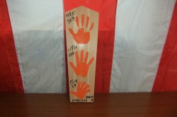 s-dscf1058