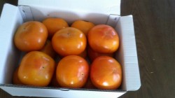 めんどくさいこと