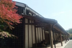 s-dscf1483 s-dscf1483