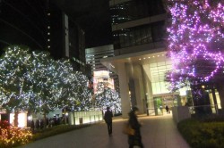 s-dscf1887 s-dscf1887