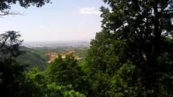 s-2016050510400000 s-2016050510400000