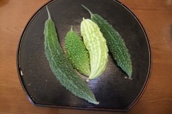 今年のゴーヤ