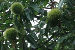 犬山はいいところ